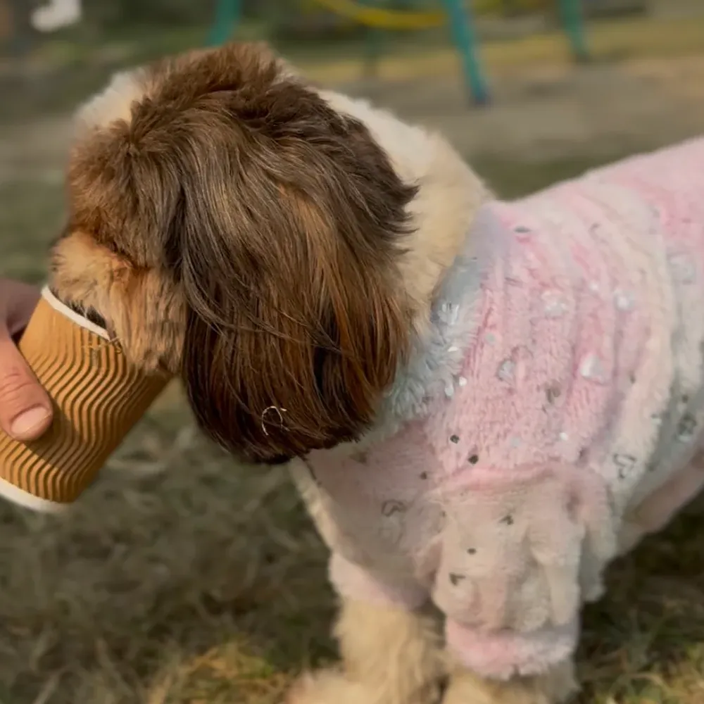 Pawgypets Fur Sweater for Dogs and Cats (Heart Pastel Rainbow)